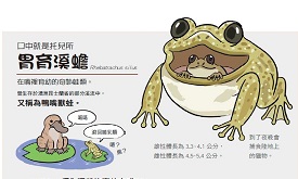 千奇百怪的滅絕動物